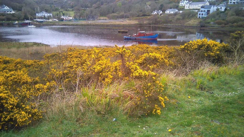 Clifden Hostel Exterior photo